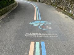 -杭州半山国家森林公园