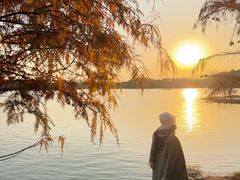 -上海海湾国家森林公园