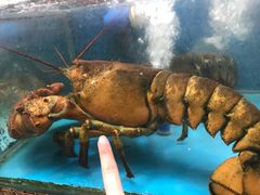-老石湖大排档