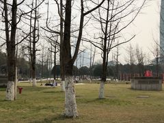 -重庆市江北嘴中央商务区中央公园