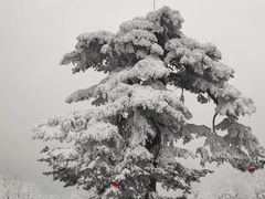 -秦岭终南山世界地质公园翠华山景区