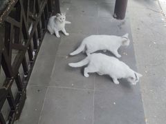 -狼山风景名胜区