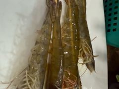 -濠轩阁特色生蚝火锅(水湾路店)