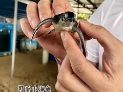 -Ministry of Crab(科伦坡店)