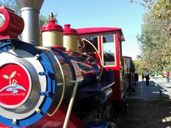 -永定河休闲森林公园