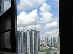 -喵园·猫主题咖啡厅·撸猫·猫咖(国贸店)