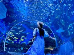 -海合安成都极地海洋公园
