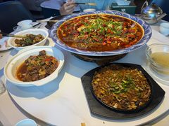 -新概念来凤鱼(璧山店)