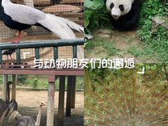 -柳州市动物园