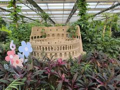 -南宫五洲植物乐园