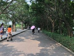 -大湾区中央湿地公园