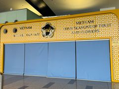 -河内内排国际机场