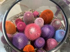 -西火火川派自助小火锅(西溪银泰店)