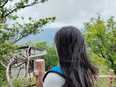 -牛背梁国家森林公园