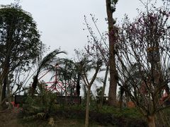 -枫香湖儿童公园