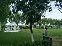 -九十九顶毡房(阜石路店)