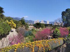 -牛岗山公园