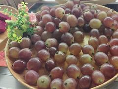 -菊上日式料理(蚌埠银泰店)