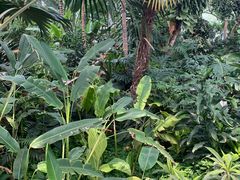 -北京植物园-展览温室