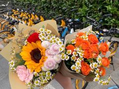 -循礼门鲜花花市(武汉循礼门店)