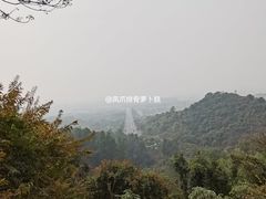 -火炉山森林公园