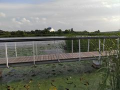 -哈尔滨大剧院