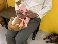-废柴猫桌游概念馆(王府井喜悦购物中心店)