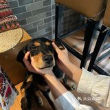 今日探店｜二木新鎃融合·民族私宴级料理