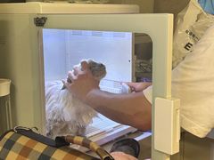 -沐沐家宠物(成寿寺店)