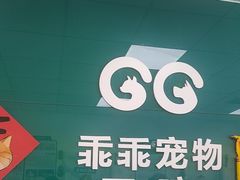 -乖乖宠物医院·猫科·急重症中心(车站北路分院)