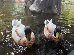-上海大自然野生昆虫馆(东方明珠·爬宠昆虫探索中心)