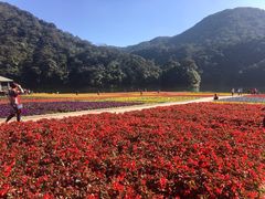 -广州市石门国家森林公园