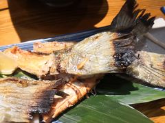 -三月居酒屋(青年大街店)