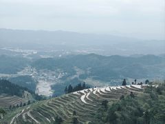 -紫鹊界梯田景区