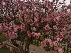 -玲珑塔公园