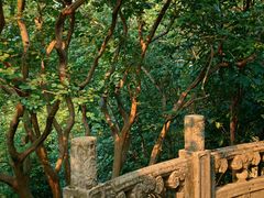 -紫金山天文台