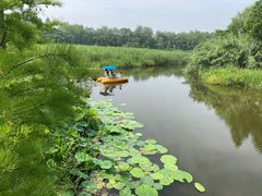 -同里国家湿地公园