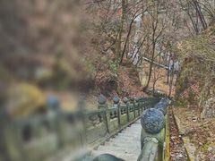 -武当山风景区