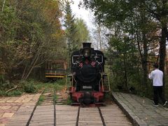 -五营红松林海景区