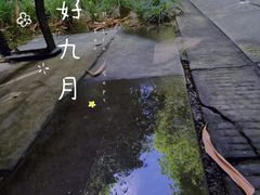 -望江楼公园