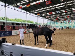 -上海崇明金茂凯悦酒店