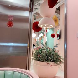 -好看加白色房子