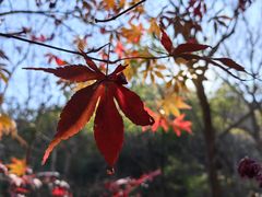 -崂山九水游览区