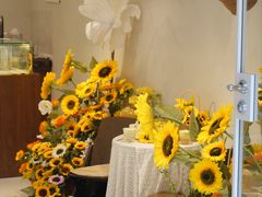 -福建师范大学(仓山校区)