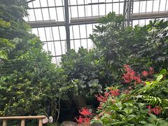 -南山植物园