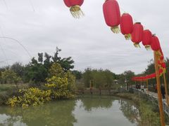 -天适樱花悠乐园