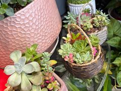 -FEI FEI FLOWER鲜花店·气球派对·宝宝宴布置(虹口德必运动Loft店)