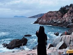 -广东惠东海龟国家级自然保护区