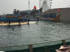 -秦皇岛乐岛海洋王国