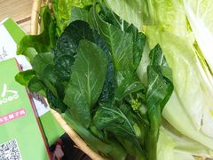 -椰夫人·养生椰子鸡(金沙洲永旺店)